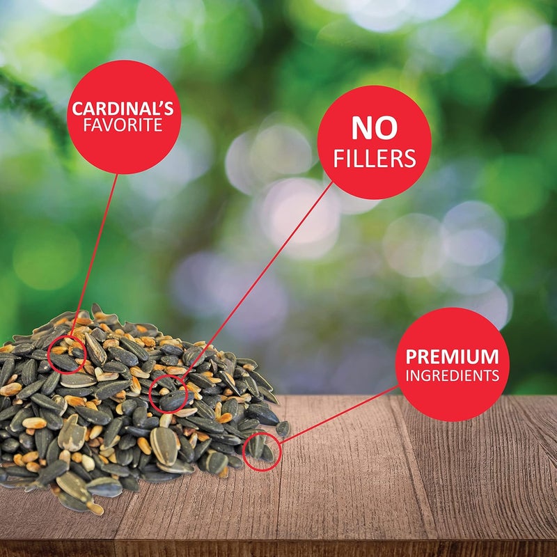 Lyric Cardinal Wild Bird Seed - Premium Sunflower & Safflower Mix, 3.75 lbs - Image 3